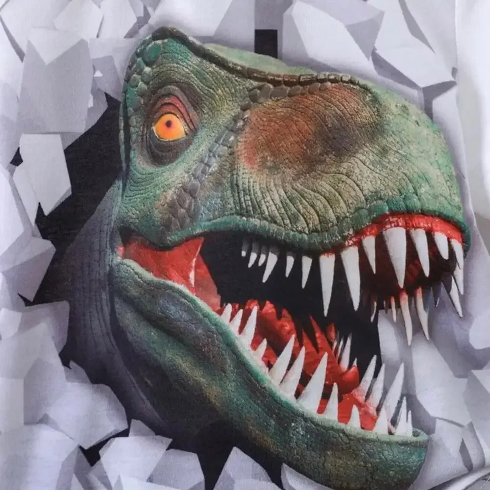 New boy’s summer “dinosaur” outfit 4 years
